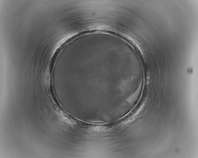 X0000094811117200711301545