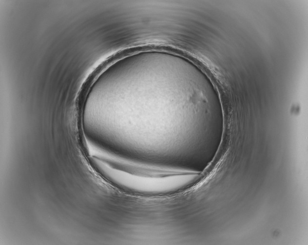 X0000094811118200711301545