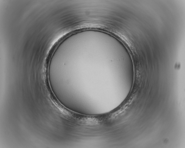 X0000094811119200711301545