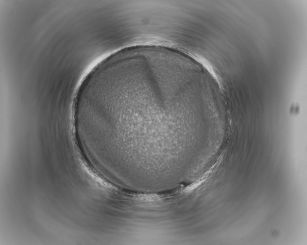 X0000094811120200711301545