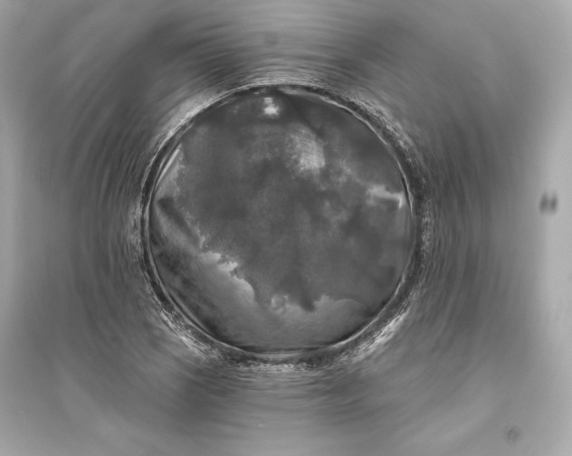 X0000094811121200711301545