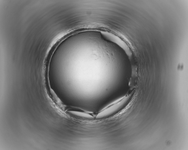 X0000094811122200711301545