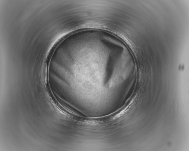 X0000094811123200711301545