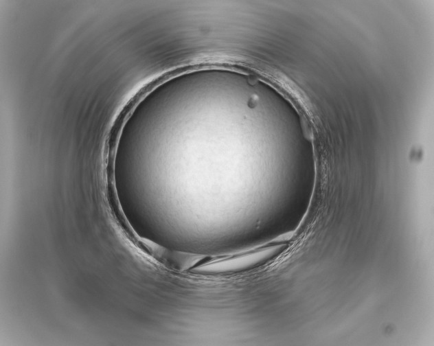 X0000094811124200711301545