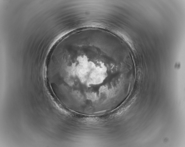 X0000094811125200711301545