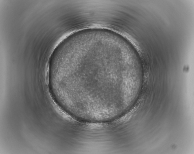 X0000094811126200711301545