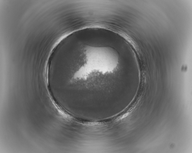 X0000094811127200711301545