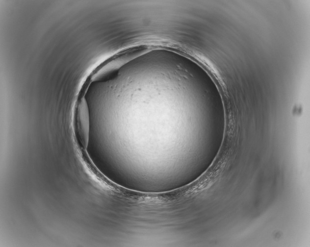 X0000094811128200711301545