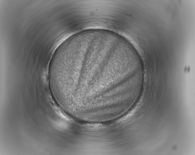 X0000094811129200711301546