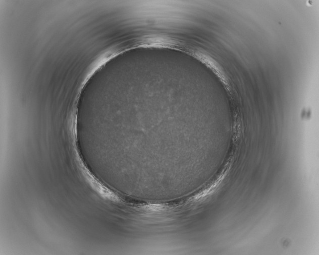 X0000094811130200711301546