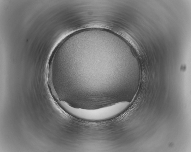 X0000094811132200711301546