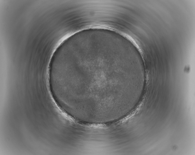 X0000094811133200711301546