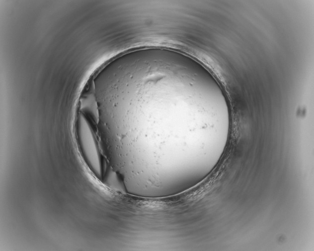 X0000094811136200711301546