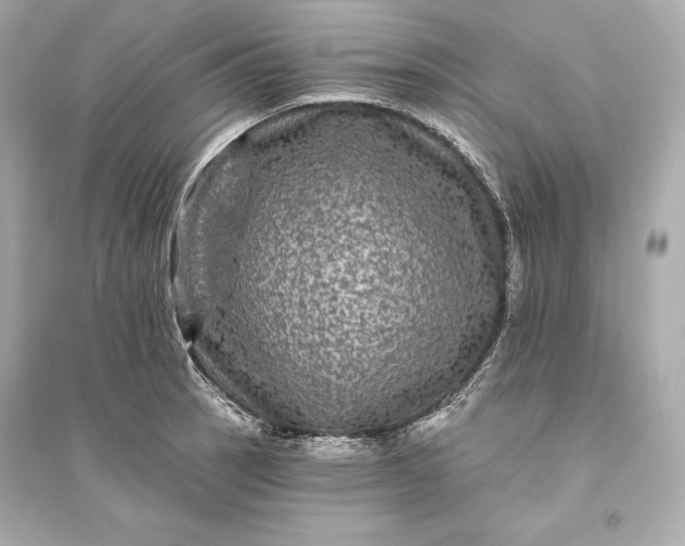 X0000094811137200711301546