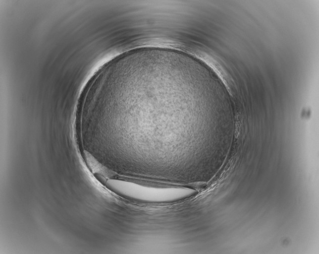 X0000094811139200711301546