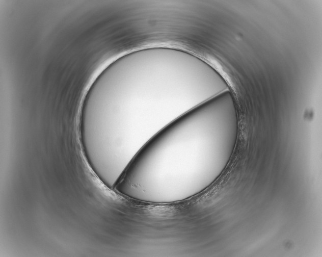 X0000094811140200711301546