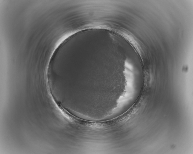 X0000094811141200711301546