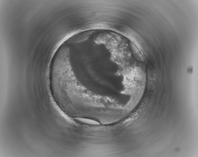 X0000094811142200711301546