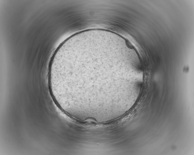 X0000094811143200711301546