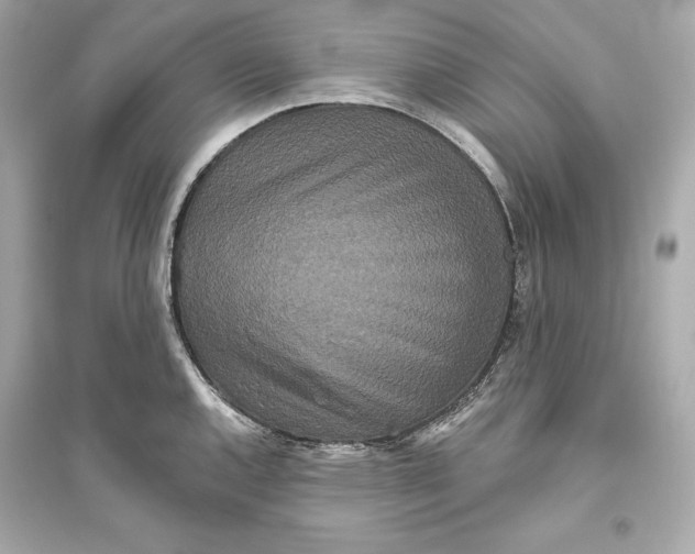 X0000094811144200711301546