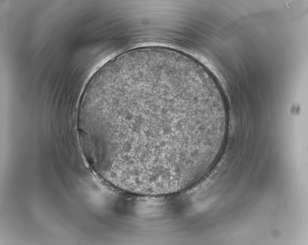 X0000094811145200711301546