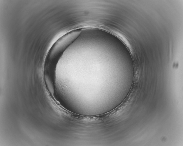 X0000094811146200711301546