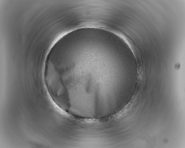 X0000094811147200711301546