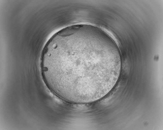 X0000094811149200711301546