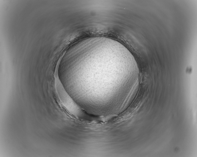 X0000094811153200711301545