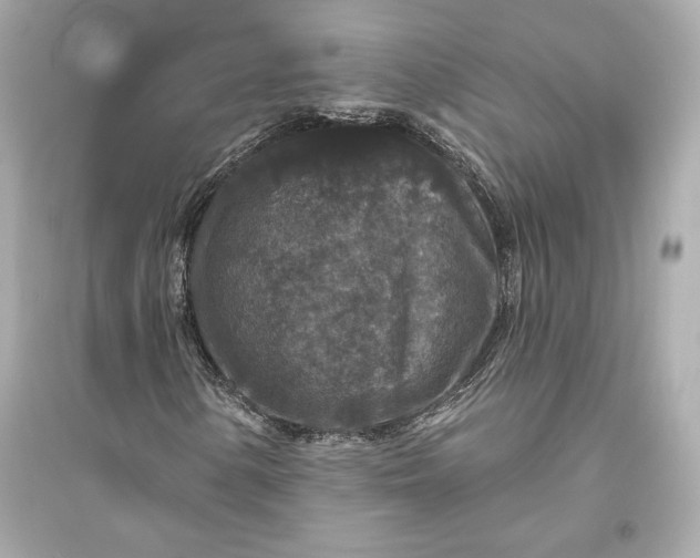 X0000094811154200711301545