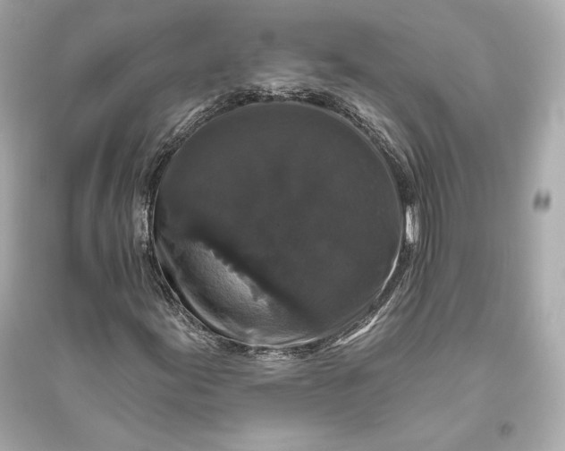 X0000094811155200711301545