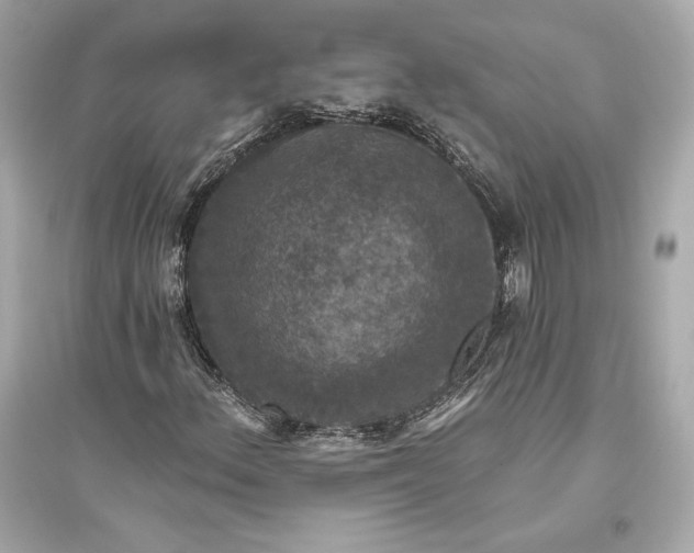 X0000094811156200711301545