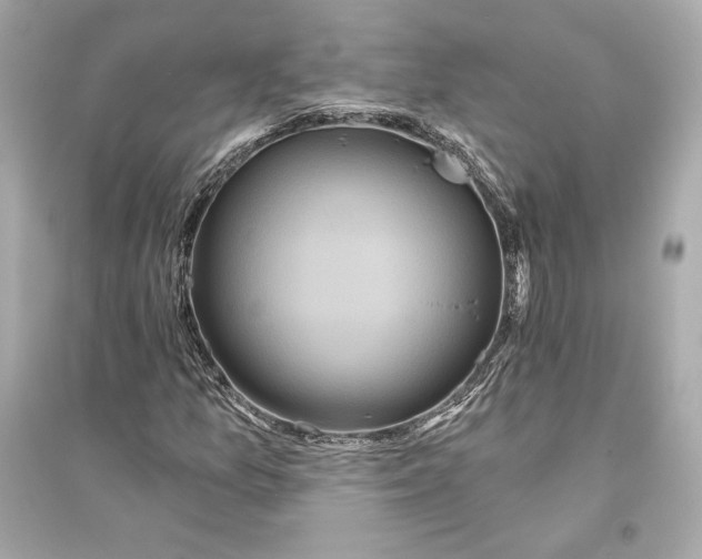 X0000094811157200711301545