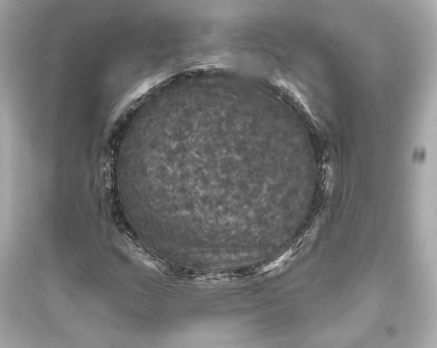 X0000094811159200711301545