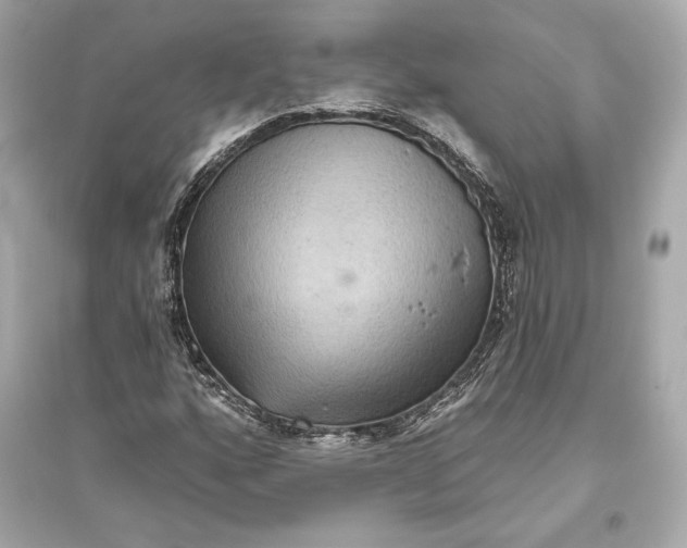 X0000094811160200711301545