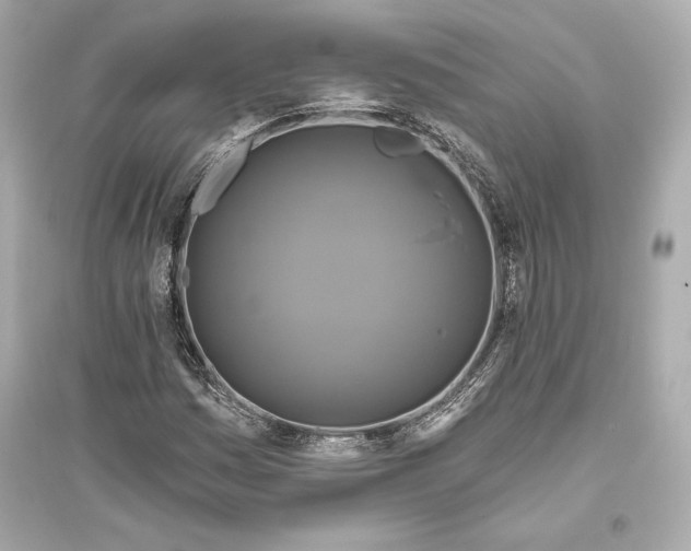 X0000094811161200711301545