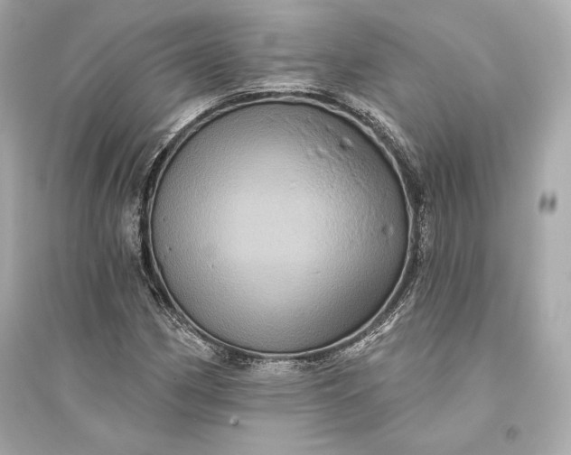 X0000094811162200711301545