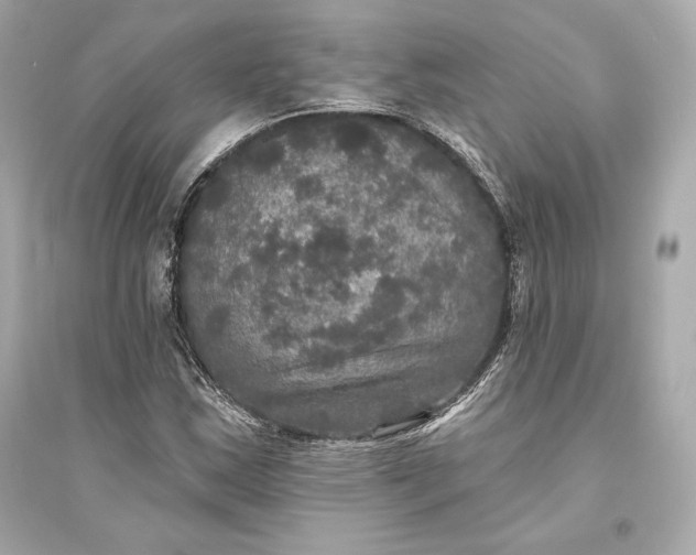 X0000094811163200711301545