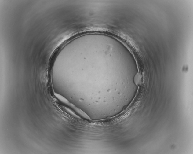 X0000094811165200711301545