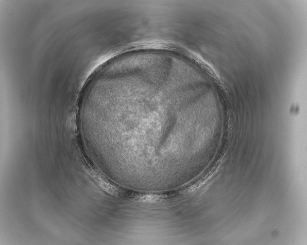 X0000094811166200711301545