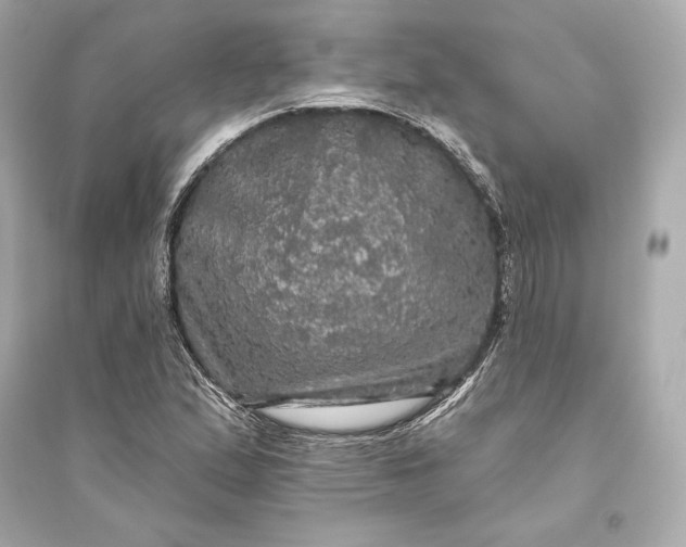 X0000094811167200711301545