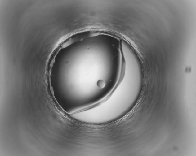 X0000094811168200711301545