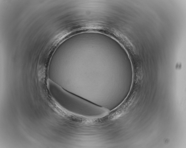 X0000094811169200711301545