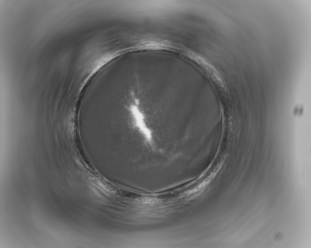 X0000094811170200711301545