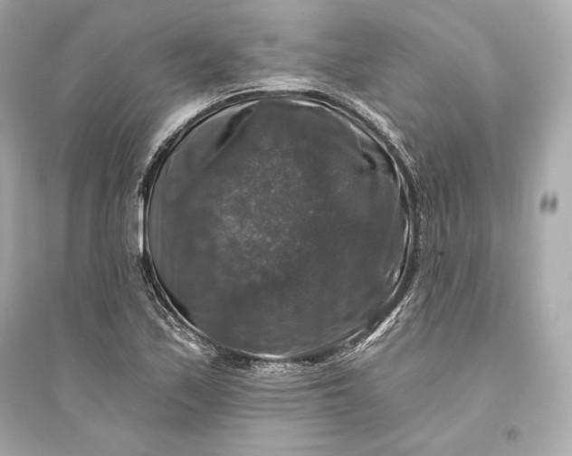 X0000094811171200711301545