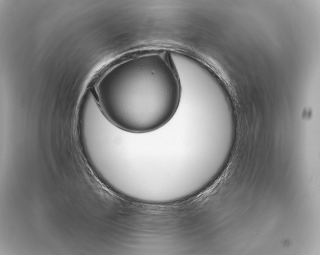 X0000094811172200711301545