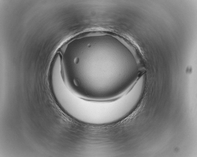 X0000094811173200711301545