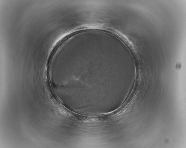 X0000094811174200711301545