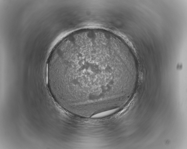 X0000094811175200711301545