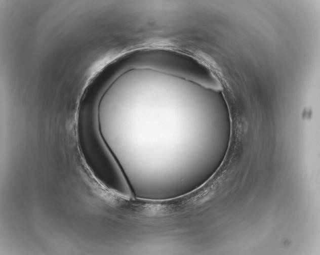 X0000094811176200711301545